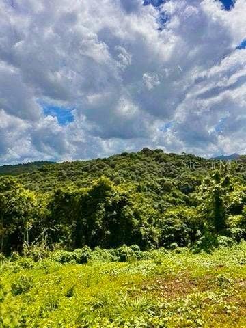 Property photo for Solar 19 BARRIO CORDILLERA, Ciales, PR