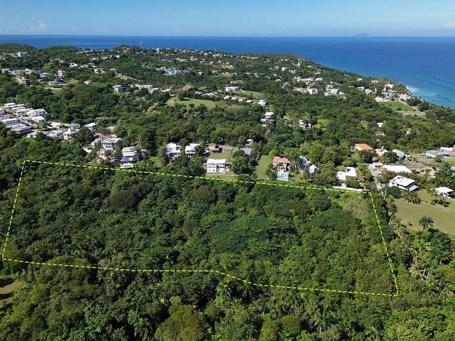 Property photo for CALLE LAS PALMAS, Rincon, PR