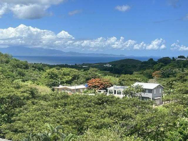 Property photo for 15 BIRD'S NEST STUDIOS, Vieques, PR