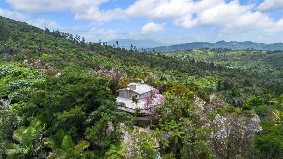 Property photo for PR-184 GUAVATE, Cayey, PR