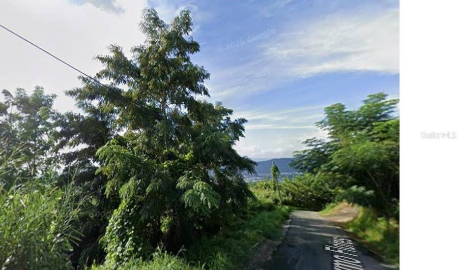 Property photo for RD 942, Gurabo, PR