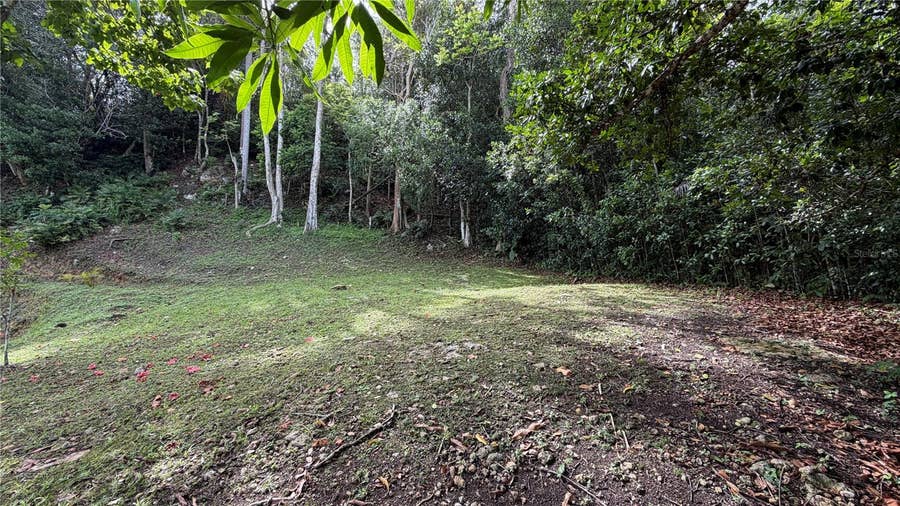 Property photo for CARR 643 KM 6.7 BO PUGNADO, Vega Baja, PR
