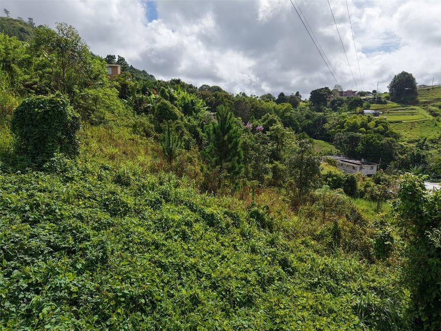 Property photo for PR 772 KM 4.9 CAÑABON WARD, Barranquitas, PR