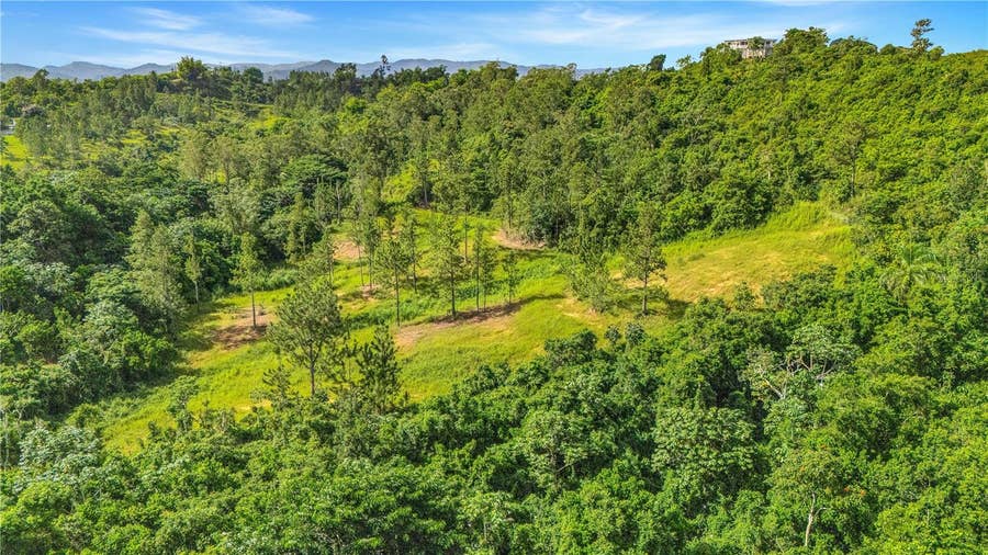 Property photo for 63 SECTOR MONTICELLO, Cidra, PR