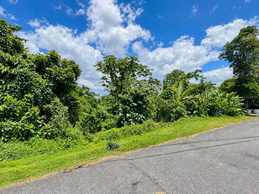 Property photo for CARR. 119, Las Marias, PR