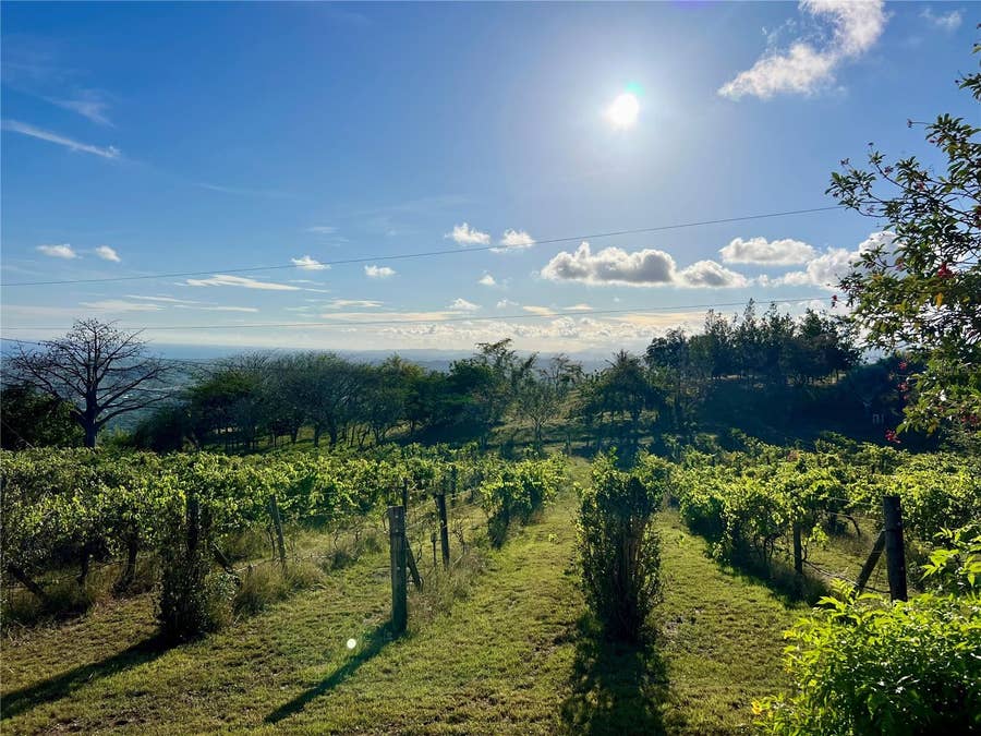 Property photo for PR 154 KM 1.2 INT BO JAUCA II, Santa Isabel, PR