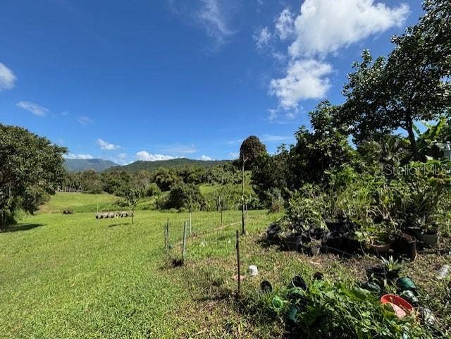 Bo Collores CARR#936  KM 1.0, Solar #1, Las Piedras, PR 00771