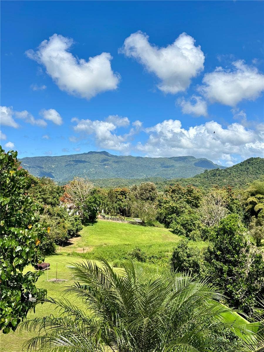 Property photo for Bo Collores CARR#936  KM 1.0, Solar #1, Las Piedras, PR