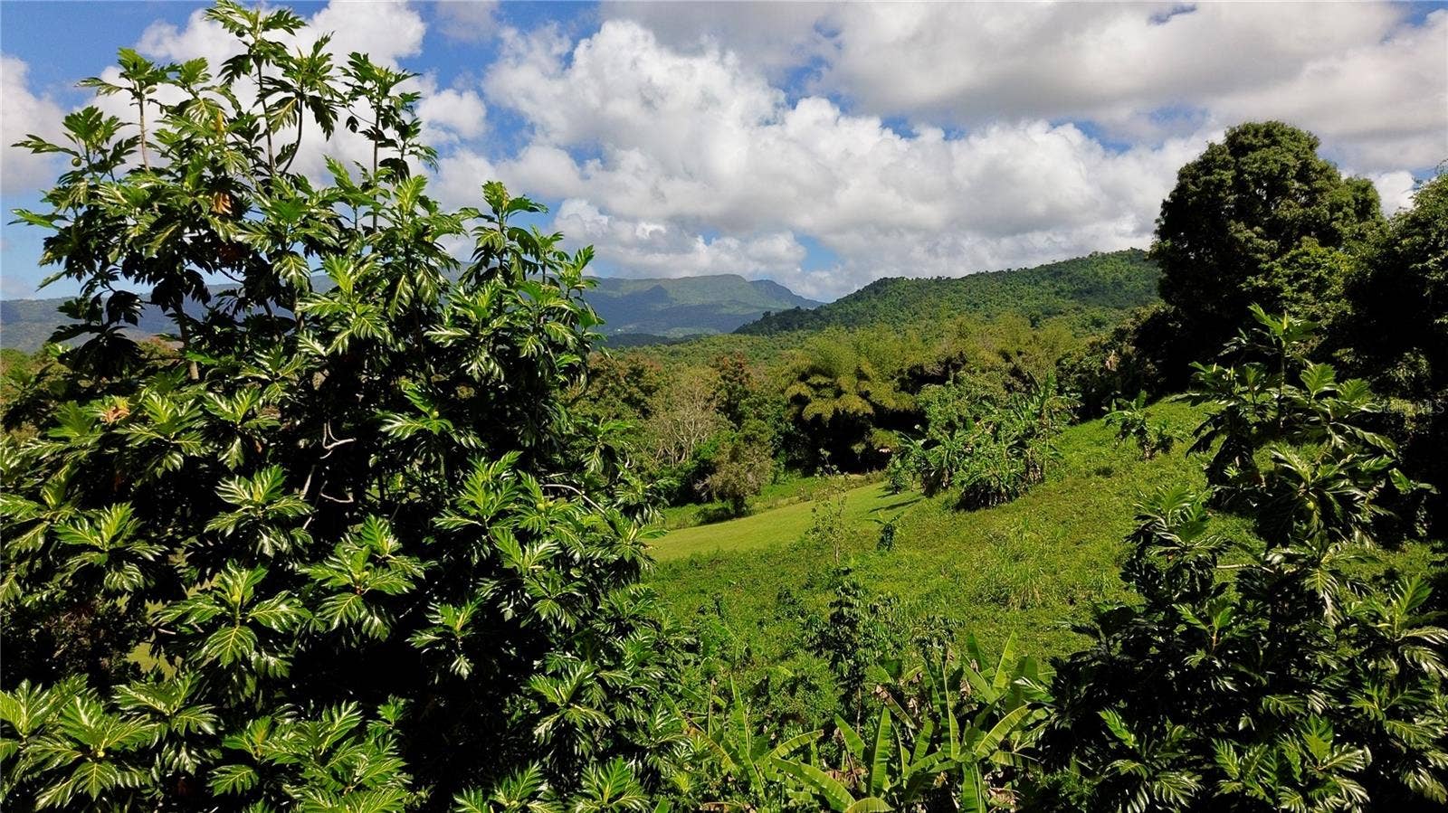Bo Collores CARR#936  KM 1.0, Solar #1, Las Piedras, PR 00771