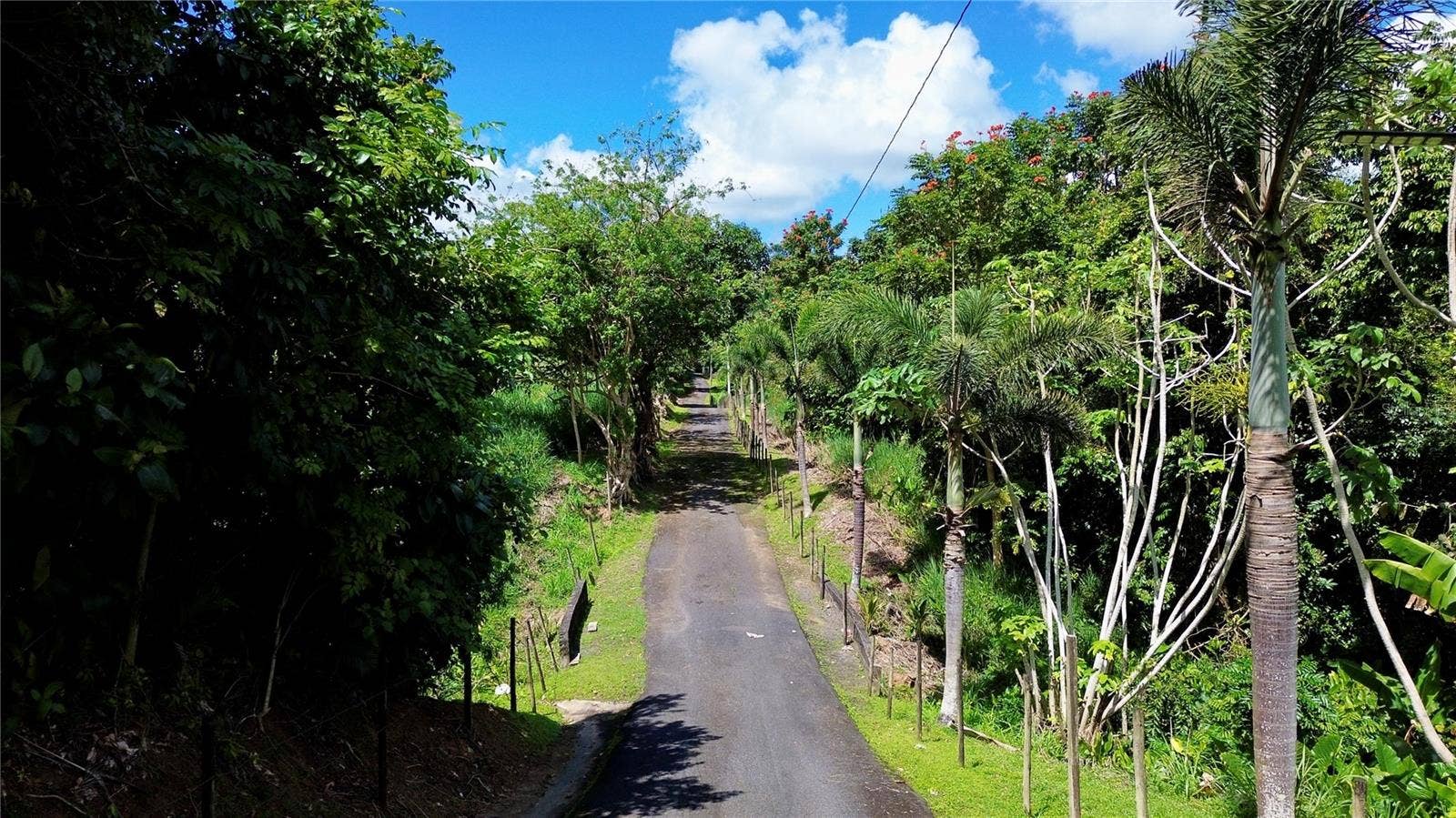 Bo Collores CARR#936  KM 1.0, Solar #1, Las Piedras, PR 00771