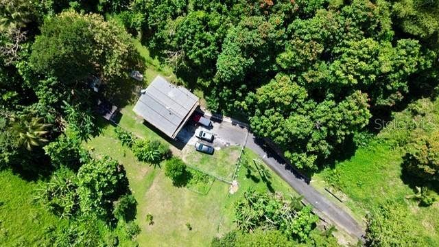 Bo Collores CARR#936  KM 1.0, Solar #1, Las Piedras, PR 00771
