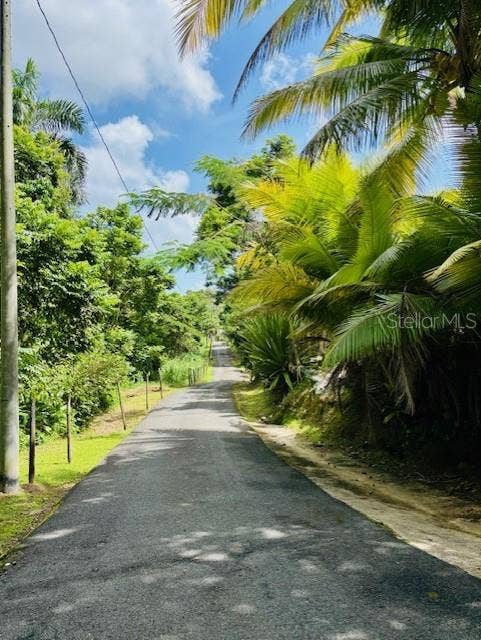 Bo Collores CARR#936  KM 1.0, Solar #1, Las Piedras, PR 00771
