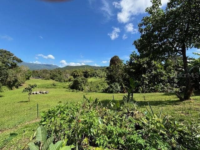 Bo Collores CARR#936  KM 1.0, Solar #1, Las Piedras, PR 00771