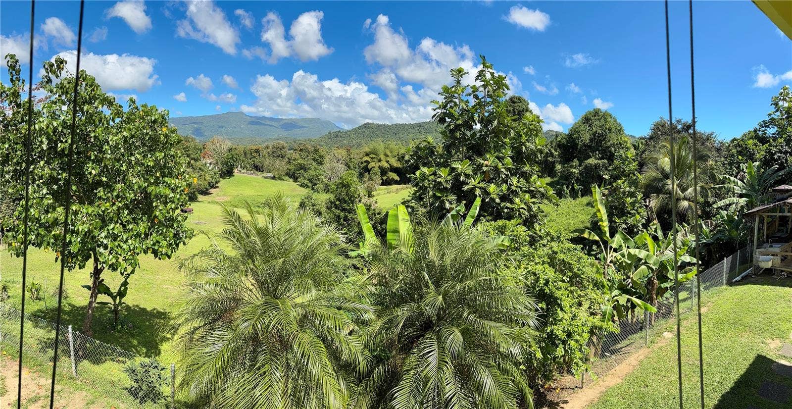 Bo Collores CARR#936  KM 1.0, Solar #1, Las Piedras, PR 00771