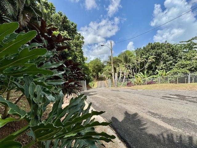 Bo Collores CARR#936  KM 1.0, Solar #1, Las Piedras, PR 00771
