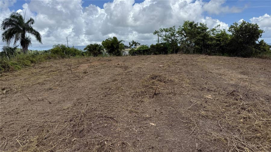 Property photo for Bo Tejas CARR 908 KM 8 H 0 INT SECTOR LOS ABREU, Las Piedras, PR