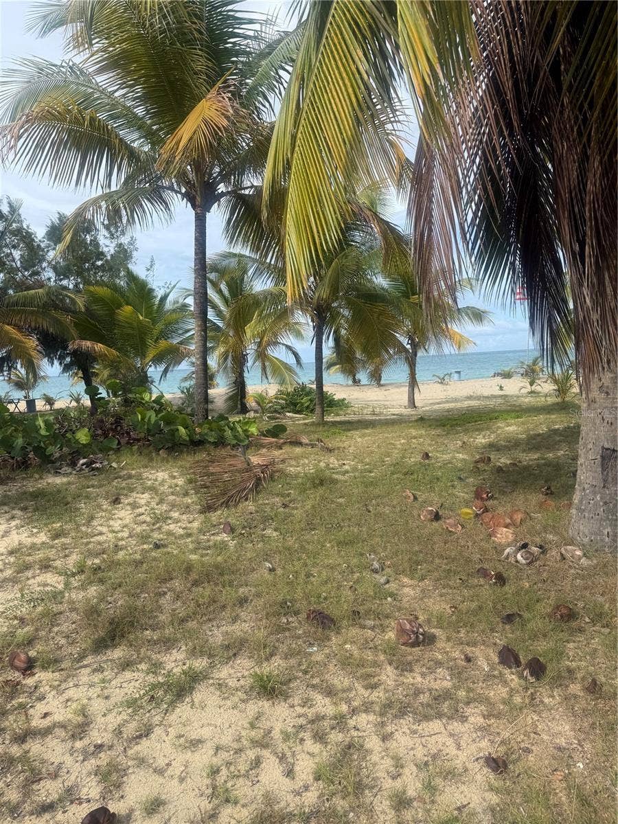 II LOS PARILLAS, #3301, Loiza, PR 00772