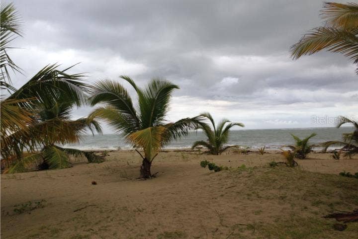 II LOS PARILLAS, #3301, Loiza, PR 00772