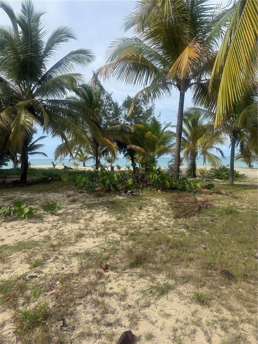 II LOS PARILLAS, #3301, Loiza, PR 00772