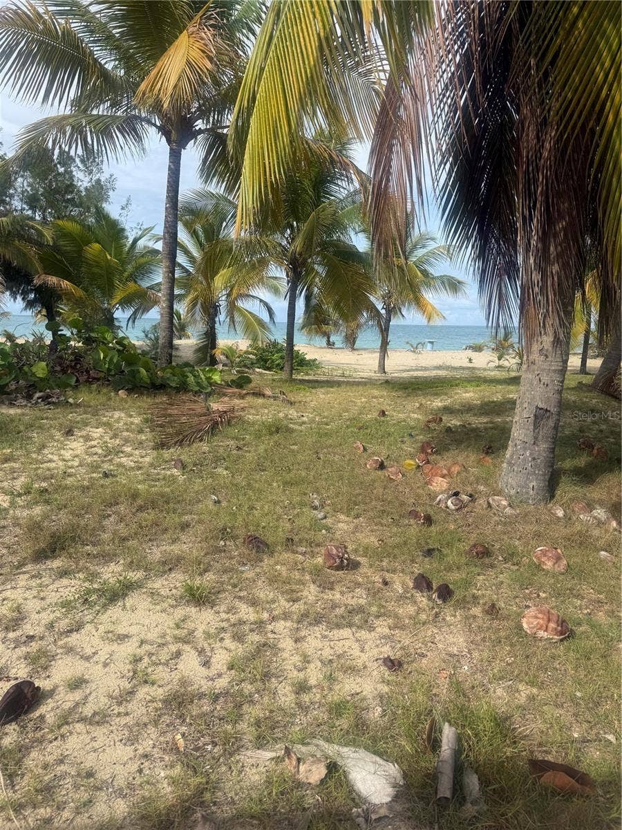 II LOS PARILLAS, #3301, Loiza, PR 00772