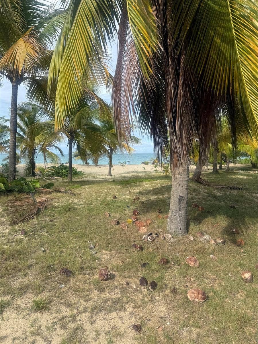 II LOS PARILLAS, #3301, Loiza, PR 00772