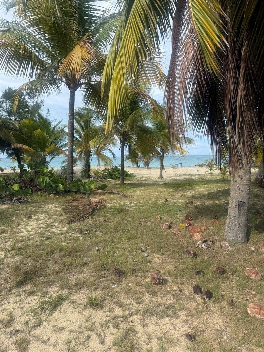 II LOS PARILLAS, #3301, Loiza, PR 00772
