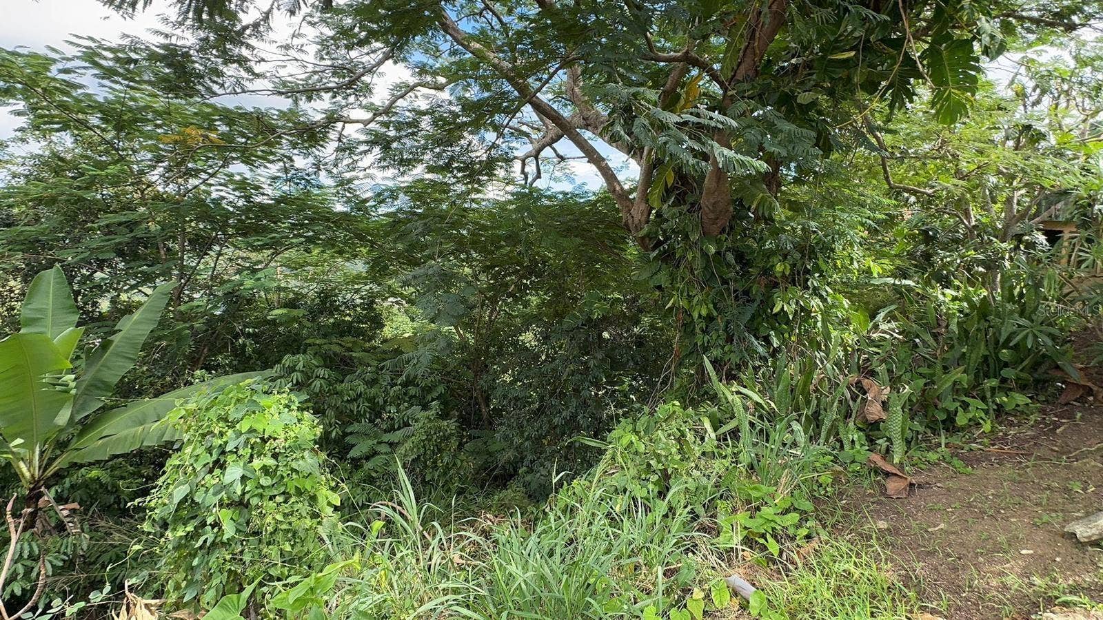 PR. 813 Km 2.1 BO. NUEVO, Naranjito, PR 00719 PR. 813 Km 2.1 BO. NUEVO, Naranjito, PR 00719