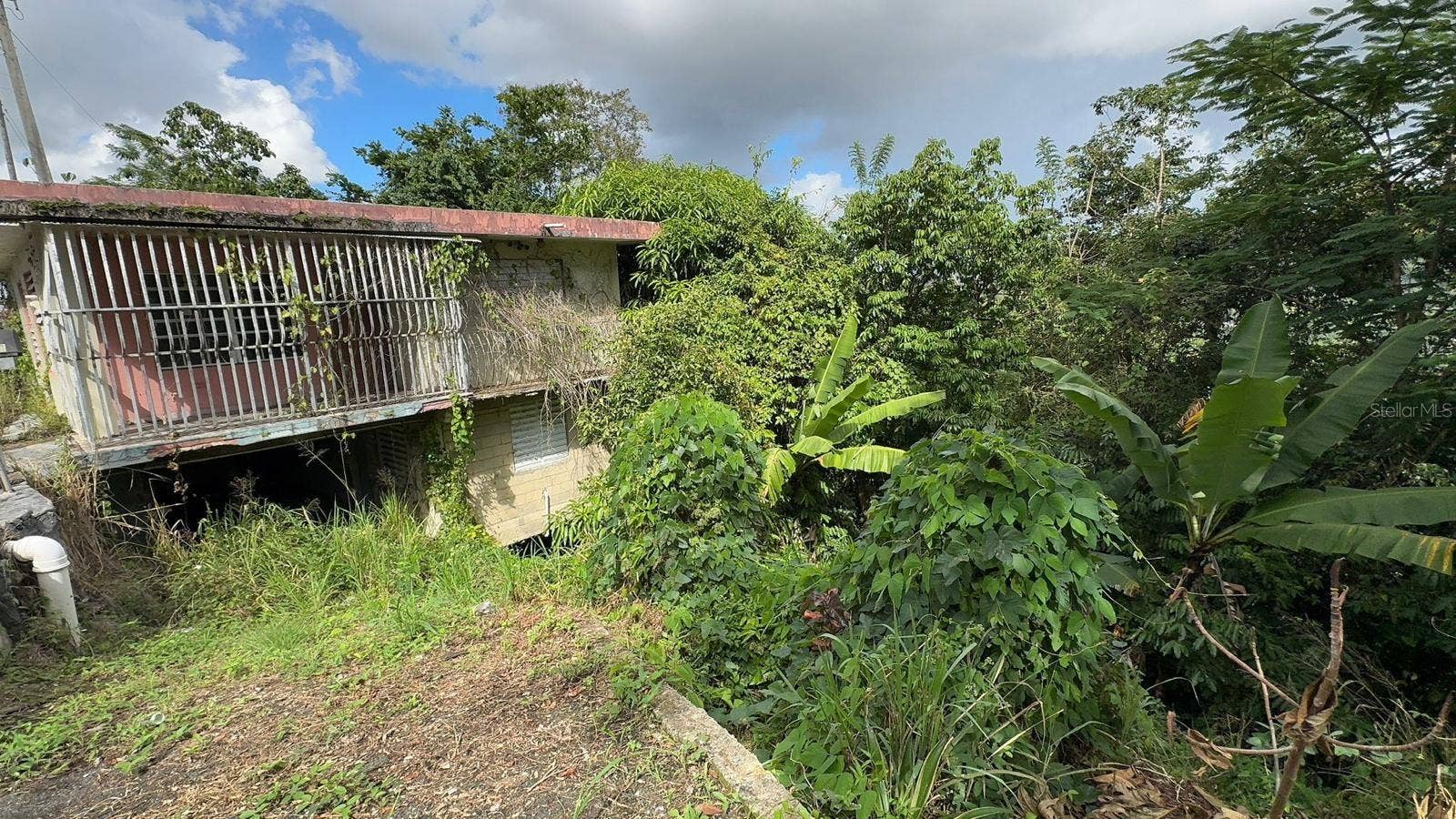 PR. 813 Km 2.1 BO. NUEVO, Naranjito, PR 00719 PR. 813 Km 2.1 BO. NUEVO, Naranjito, PR 00719