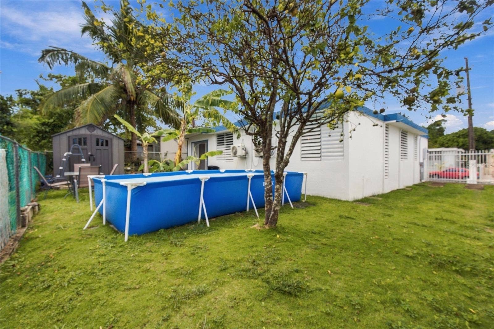 Backyard