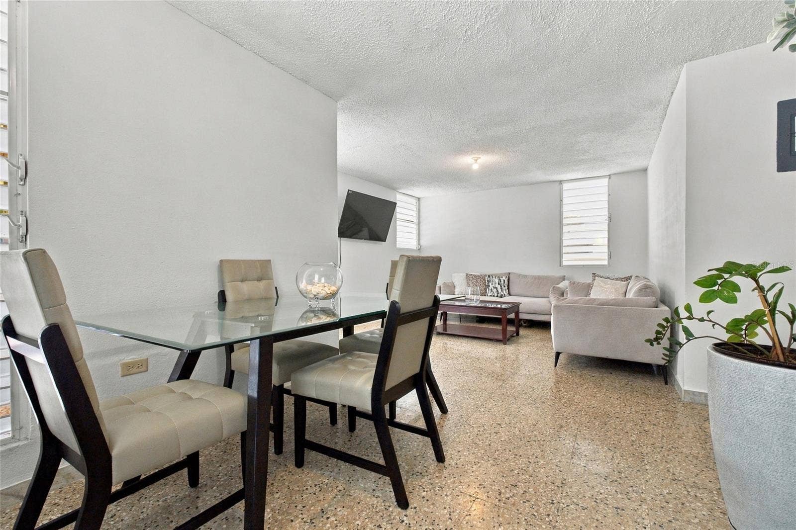 Dining Area & Living Room