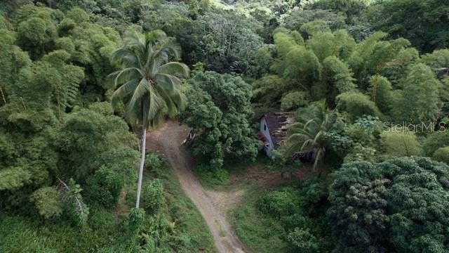 Property photo for BO. PITAHAYA, Luquillo, PR