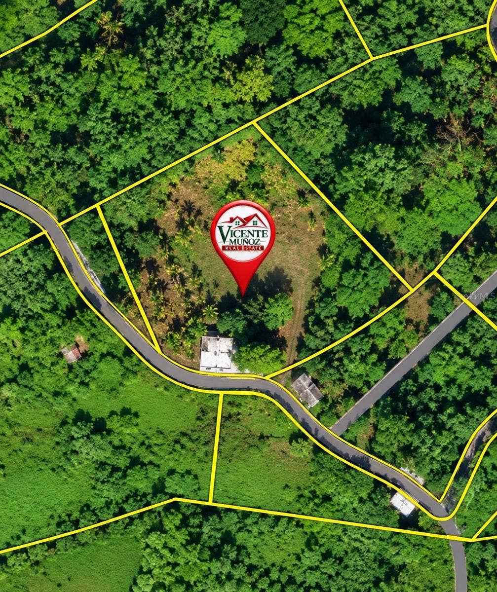 CARR 371 BO COLLORES SECT FRANCIA, Yauco, PR 00698 CARR 371 BO COLLORES SECT FRANCIA, Yauco, PR 00698