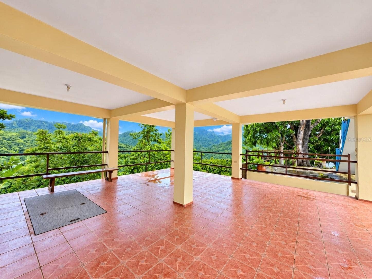 CARR 371 BO COLLORES SECT FRANCIA, Yauco, PR 00698 CARR 371 BO COLLORES SECT FRANCIA, Yauco, PR 00698
