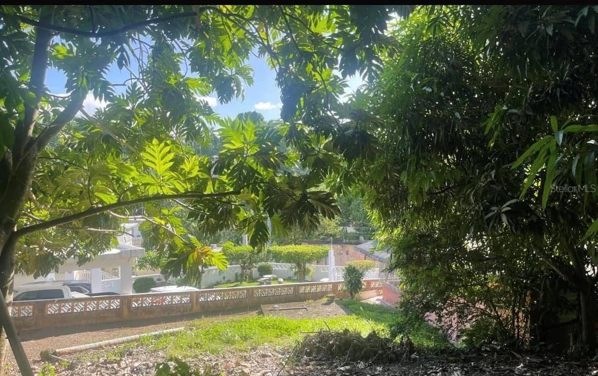 844 CARR 844 KM 3.5, San Juan, PR 00929 Grounds view toward neighboring properties