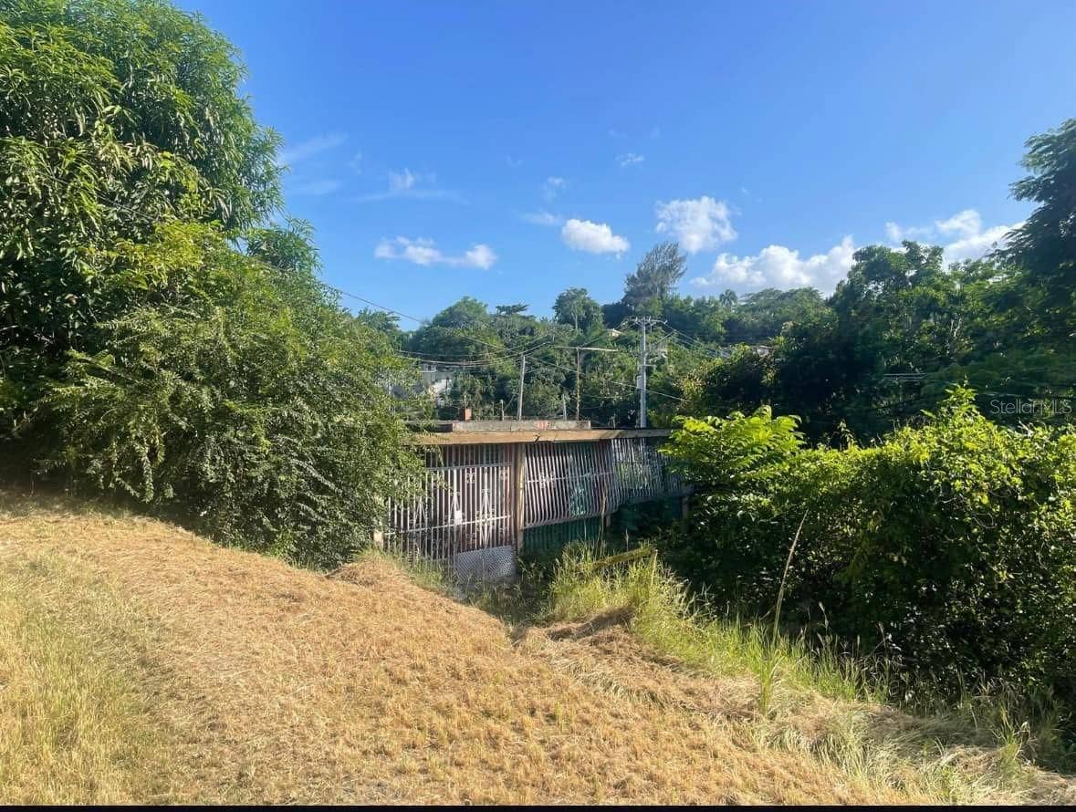 844 CARR 844 KM 3.5, San Juan, PR 00929 Property grounds with residential structure