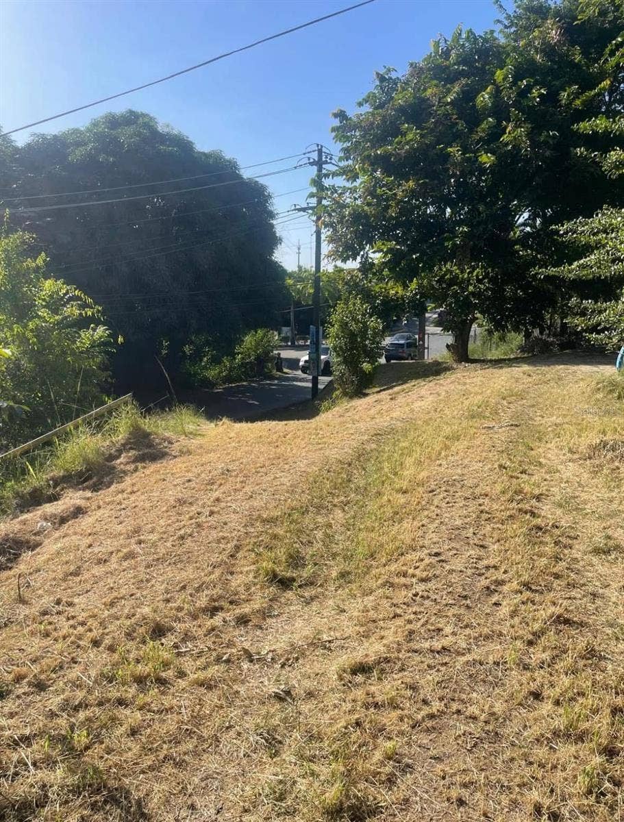 844 CARR 844 KM 3.5, San Juan, PR 00929 Open lawn with street frontage