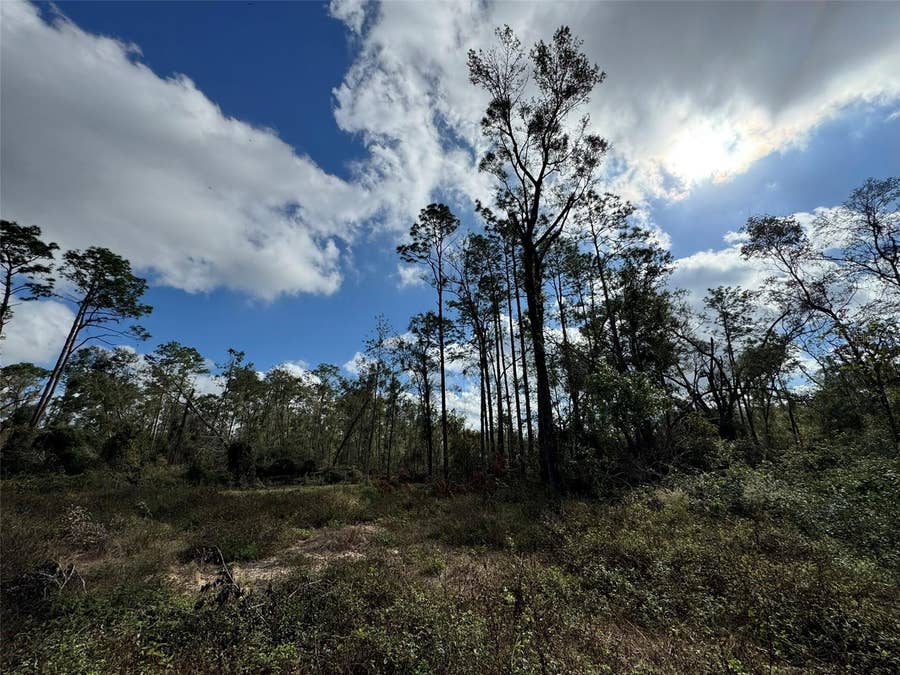 Property photo for 143RD DRIVE, O'brien, FL