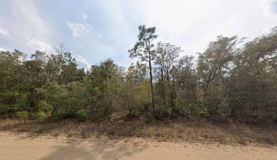 Property photo for OSBORNE STREET, Interlachen, FL
