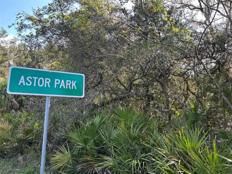 Property photo for COUNTY ROAD 445A, Astor, FL