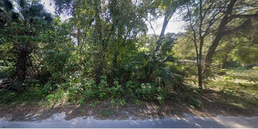 Property photo for NE 167TH PLACE, Citra, FL