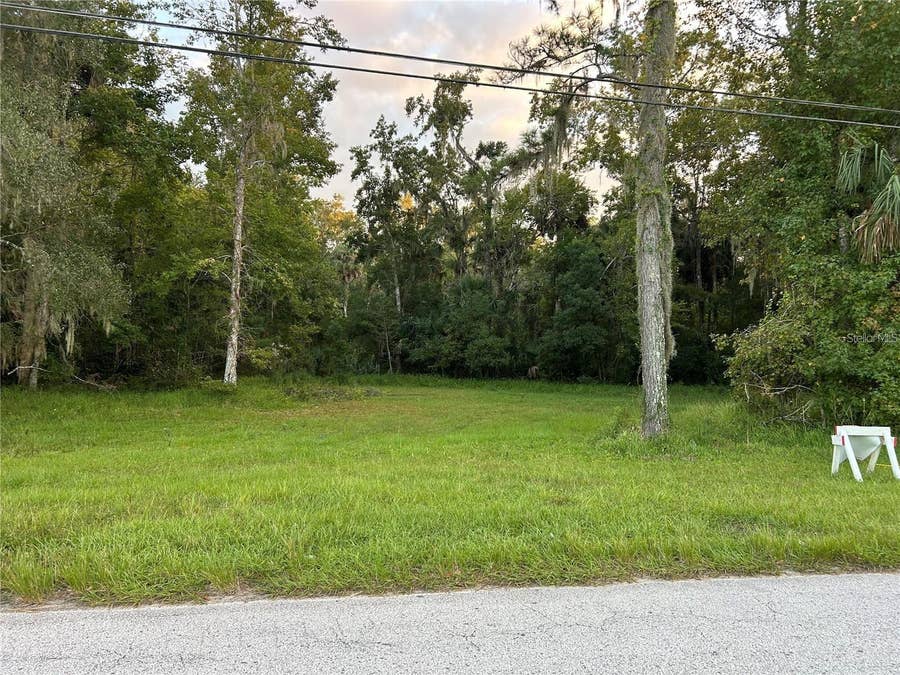 Property photo for 24916 BUTLER STREET, Astor, FL