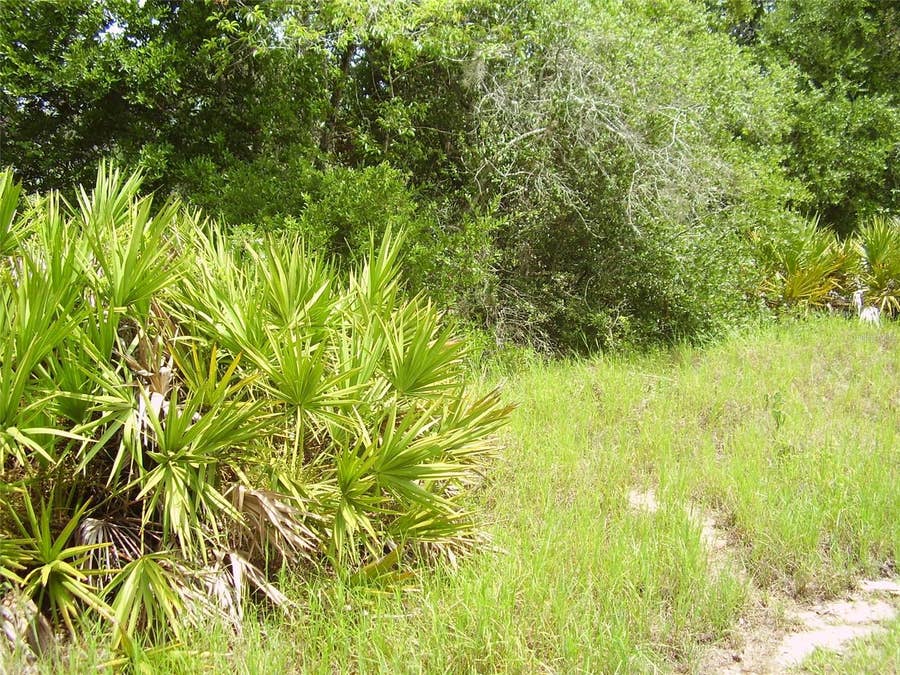 Property photo for 1457 KISSIMMEE WAY, Kissimmee, FL