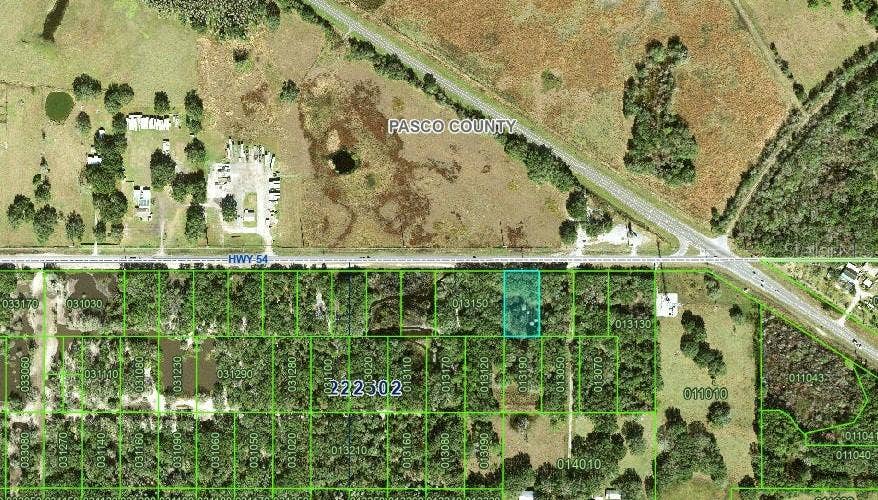 Property photo for HIGHWAY 54, Kathleen, FL
