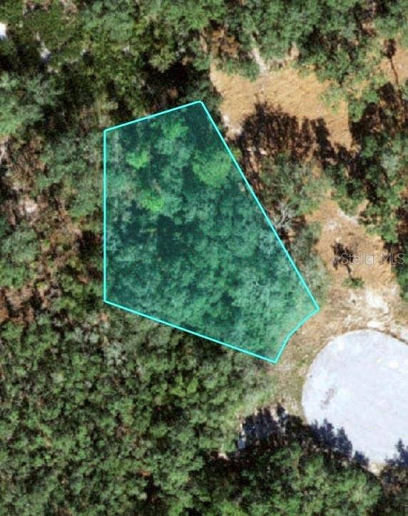 Property photo for 121 WARMOUTH LANE, Poinciana, FL
