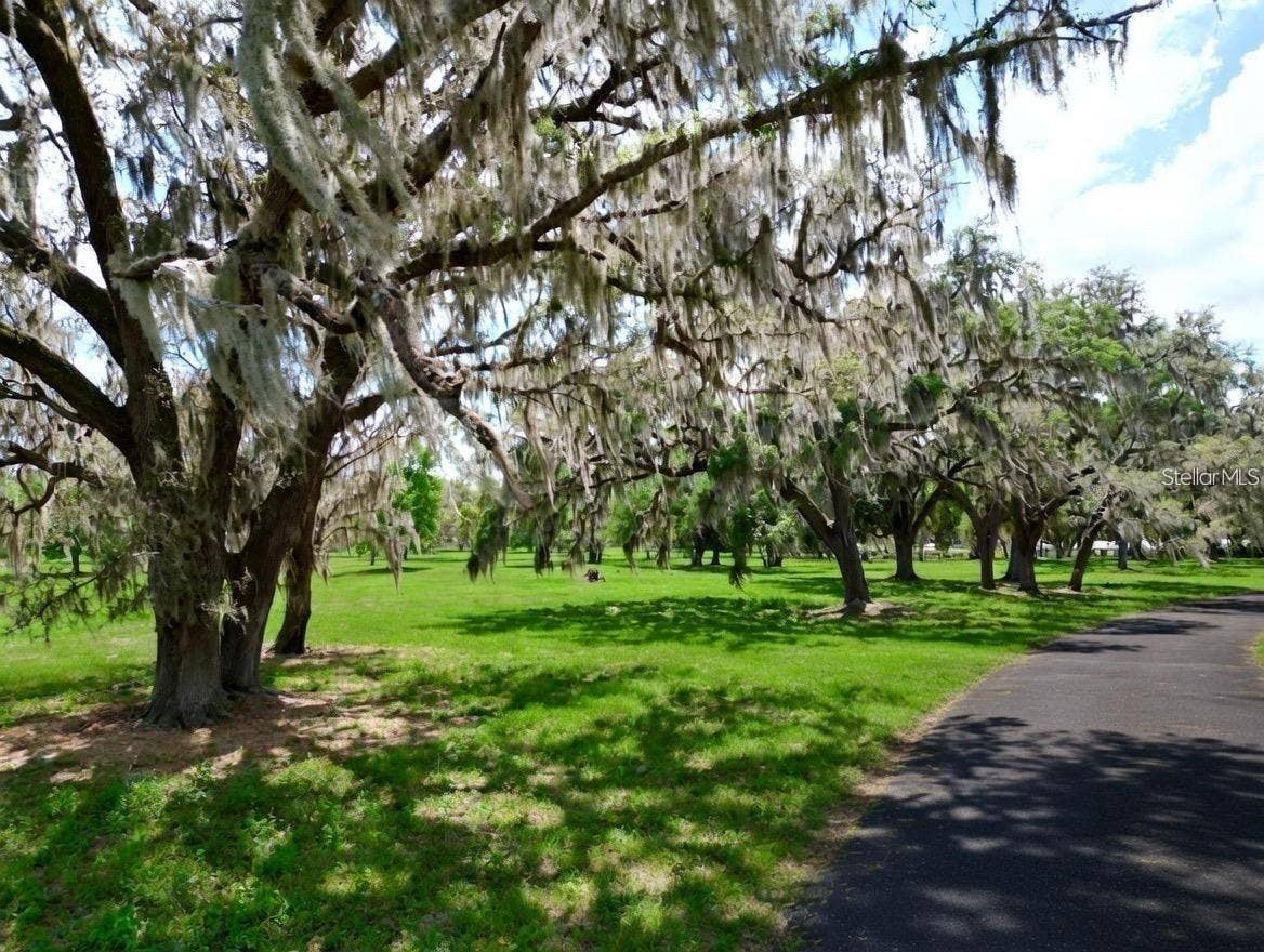 TBD SE 115TH STREET, Belleview, FL 34420