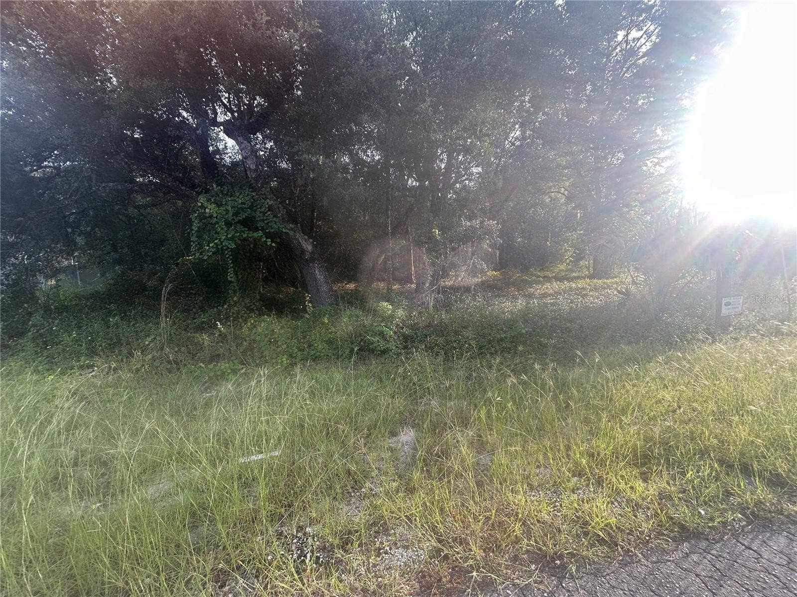 0000 GUAVA TERRACE, #4, Ocklawaha, FL 32179