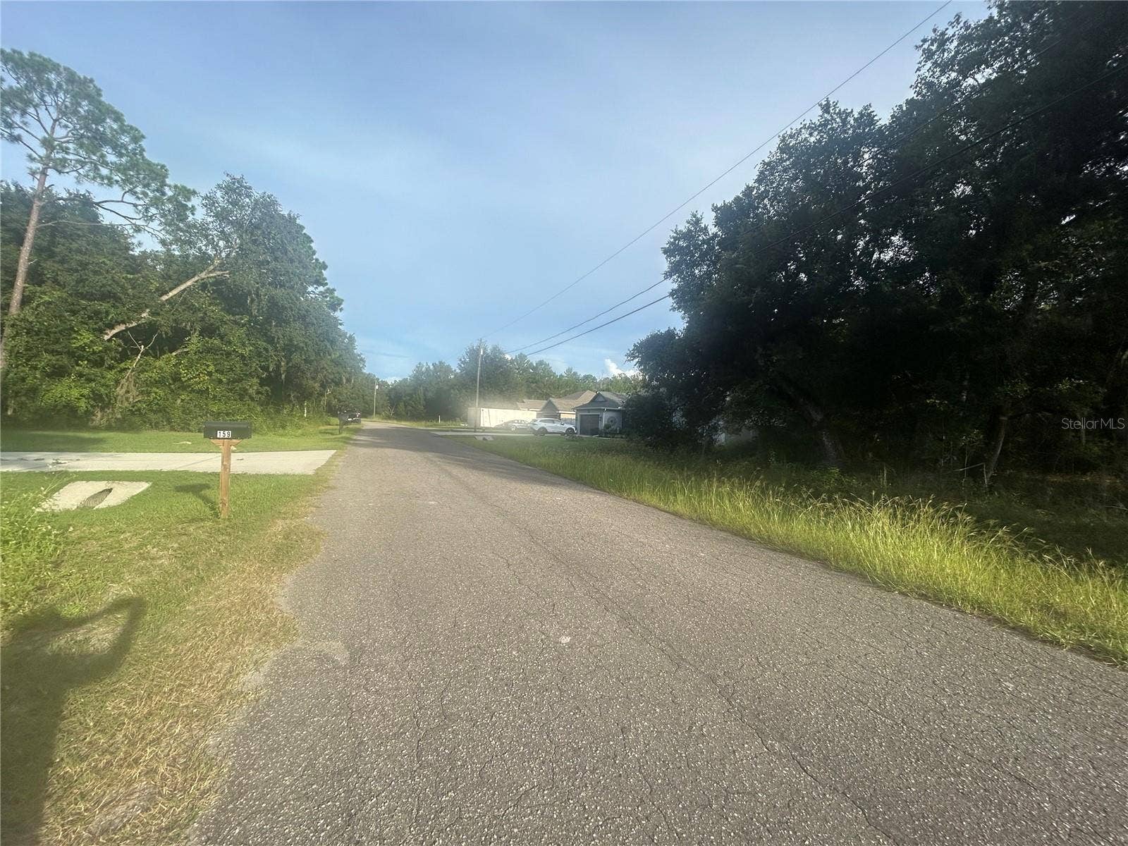 0000 GUAVA TERRACE, #4, Ocklawaha, FL 32179