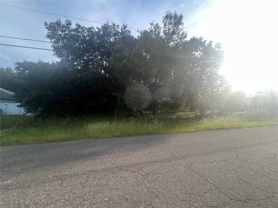 Property photo for 0000 GUAVA TERRACE, #4, Ocklawaha, FL