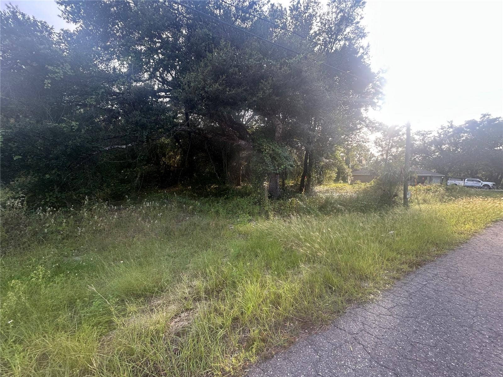 0000 GUAVA TERRACE, #4, Ocklawaha, FL 32179