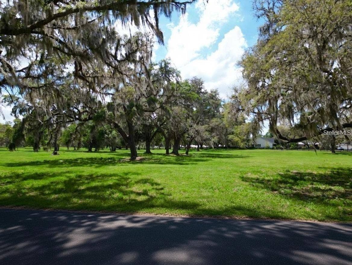 4 LOTS SE 115TH STREET, Belleview, FL 34420 4 LOTS SE 115TH STREET, Belleview, FL 34420